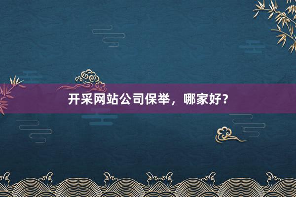 开采网站公司保举，哪家好？